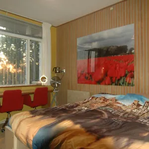 https://bed-and-breakfast-tulip-gallery.zandvoort-hotels.com